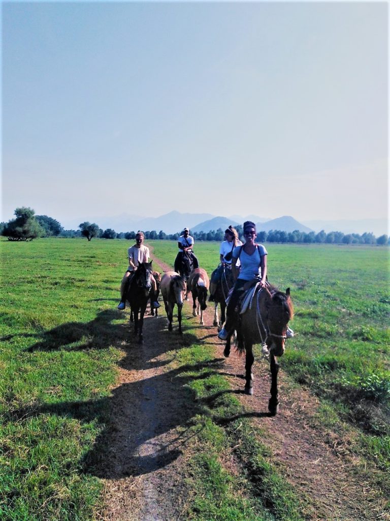 horse - riding - tour