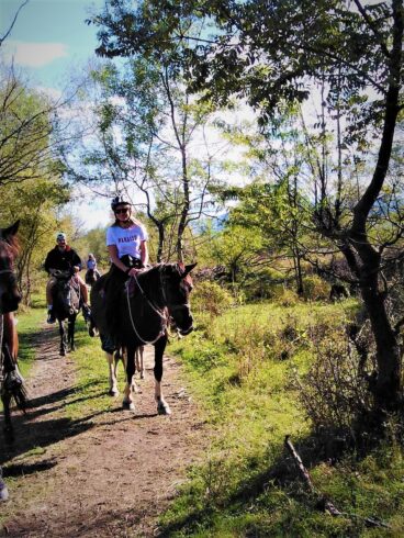 horse - riding- montenegro - tour