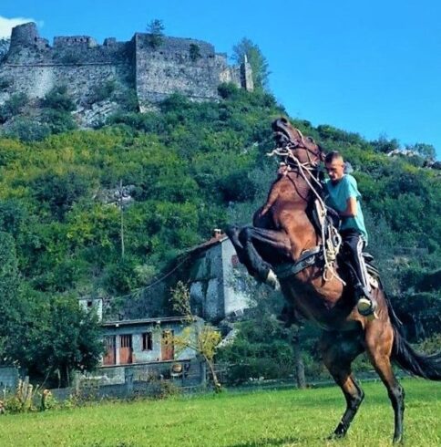 horse - riding - montenegro